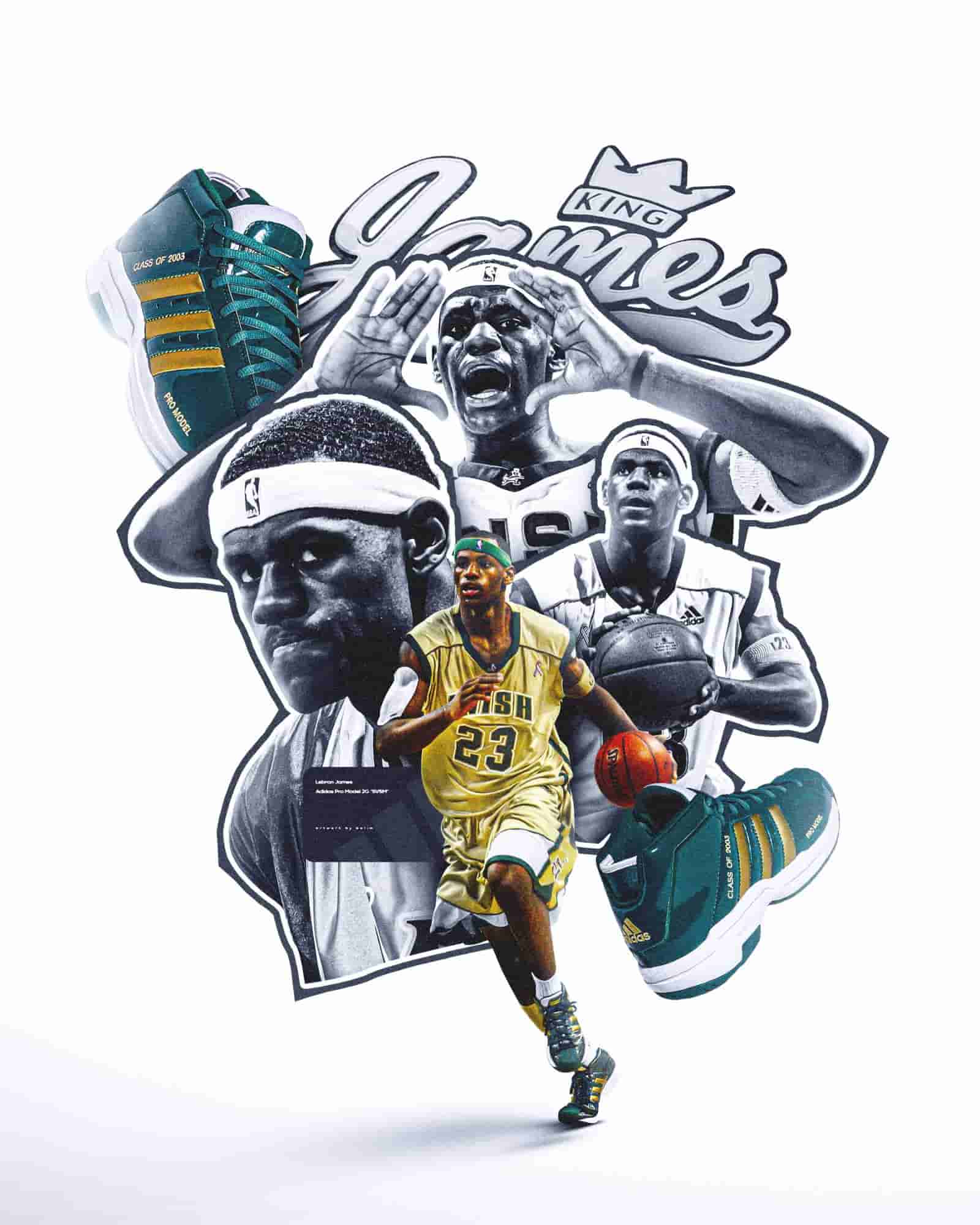Lebron Irish Result